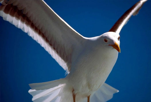 这里是您的标题二-文字内容